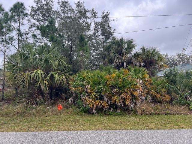 Muncey Rd Port North Port, FL 34291 - Photo 1 of 1 a view of a yard