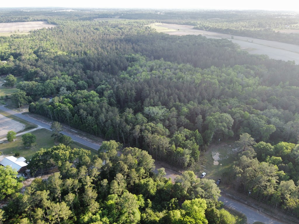 612 Edwin Reynolds Road Cottonwood, AL 36320 - Photo 11 of 15