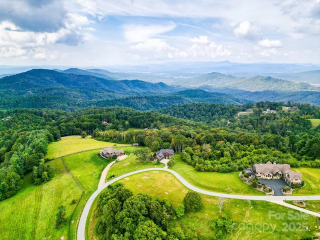 an aerial view of residential houses with outdoor space and trees