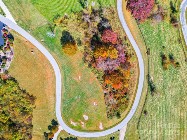 a view of a flower pot