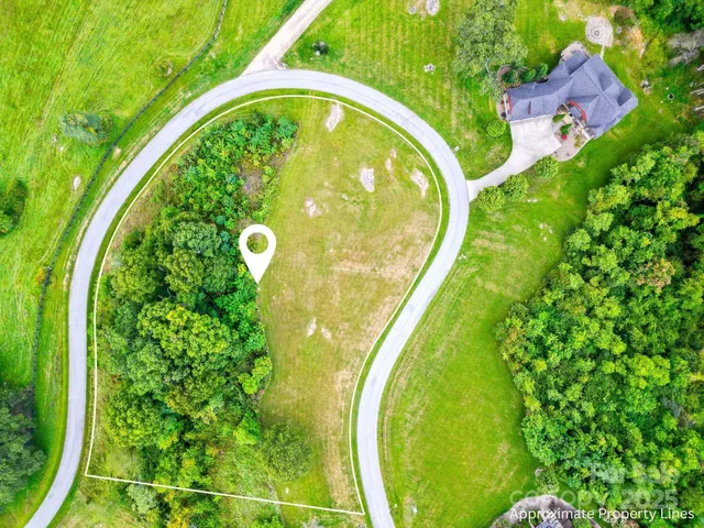 a view of a swimming pool with a garden