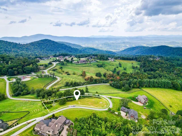 a view of a swimming pool with a garden