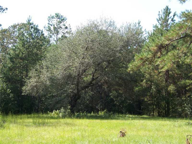 649 Stonehill Road Folsom, LA 70437 - Photo 13 of 17 Gallery Image 13