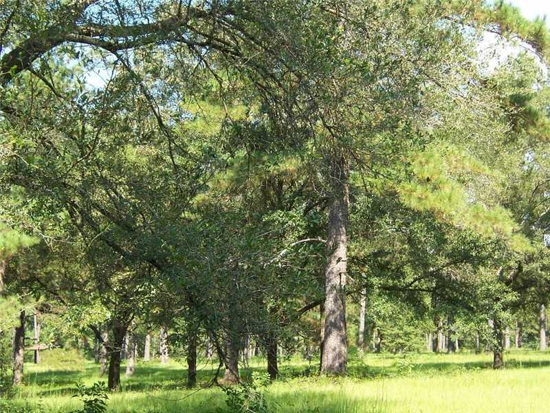 649 Stonehill Road Folsom, LA 70437 - Photo 15 of 17 Gallery Image 15