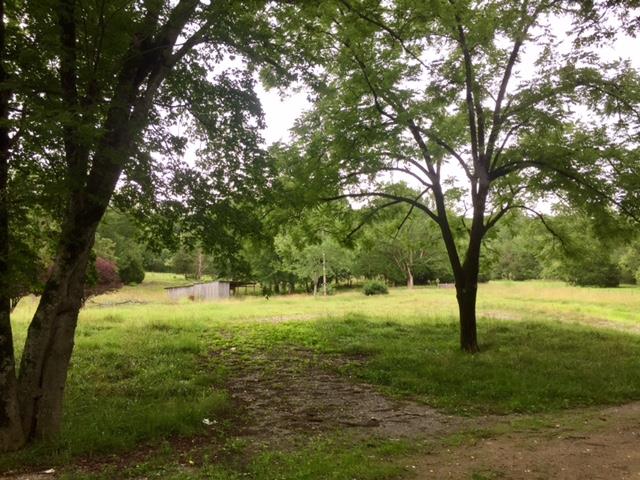 697 Jack Holt Road Pulaski, TN 38478 - Photo 1 of 8 Welcome to 697 Jack Holt Rd. 4.4 Acres ready to build your new home.