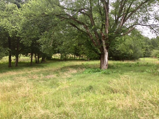 697 Jack Holt Road Pulaski, TN 38478 - Photo 7 of 8