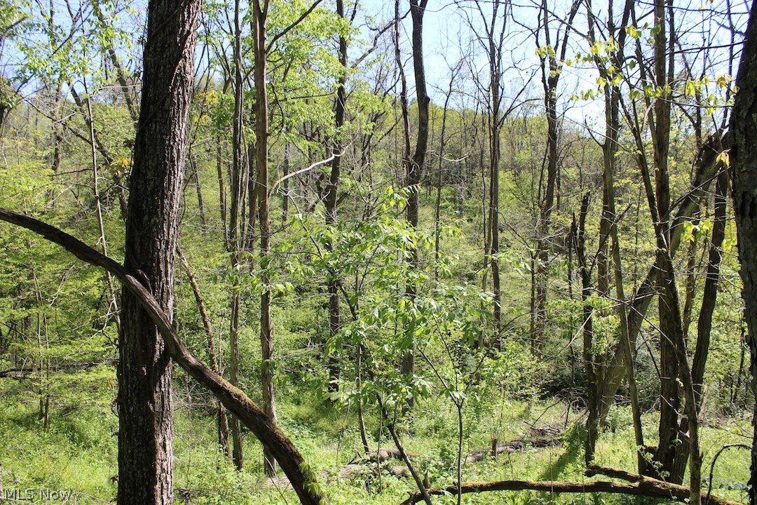 71750 Muntz Road Flushing, OH 43977 - Photo 17 of 26 Gallery Image 17