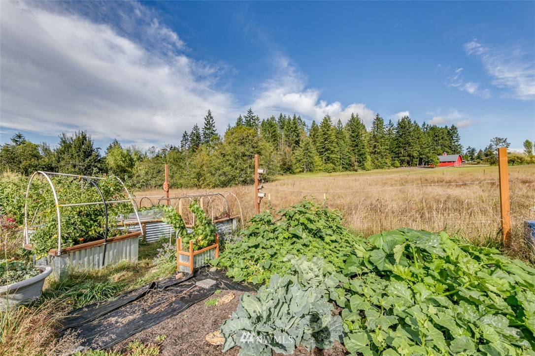 95 Hoare Road Port Angeles, WA 98363 - Photo 22 of 25 Gallery Image 22