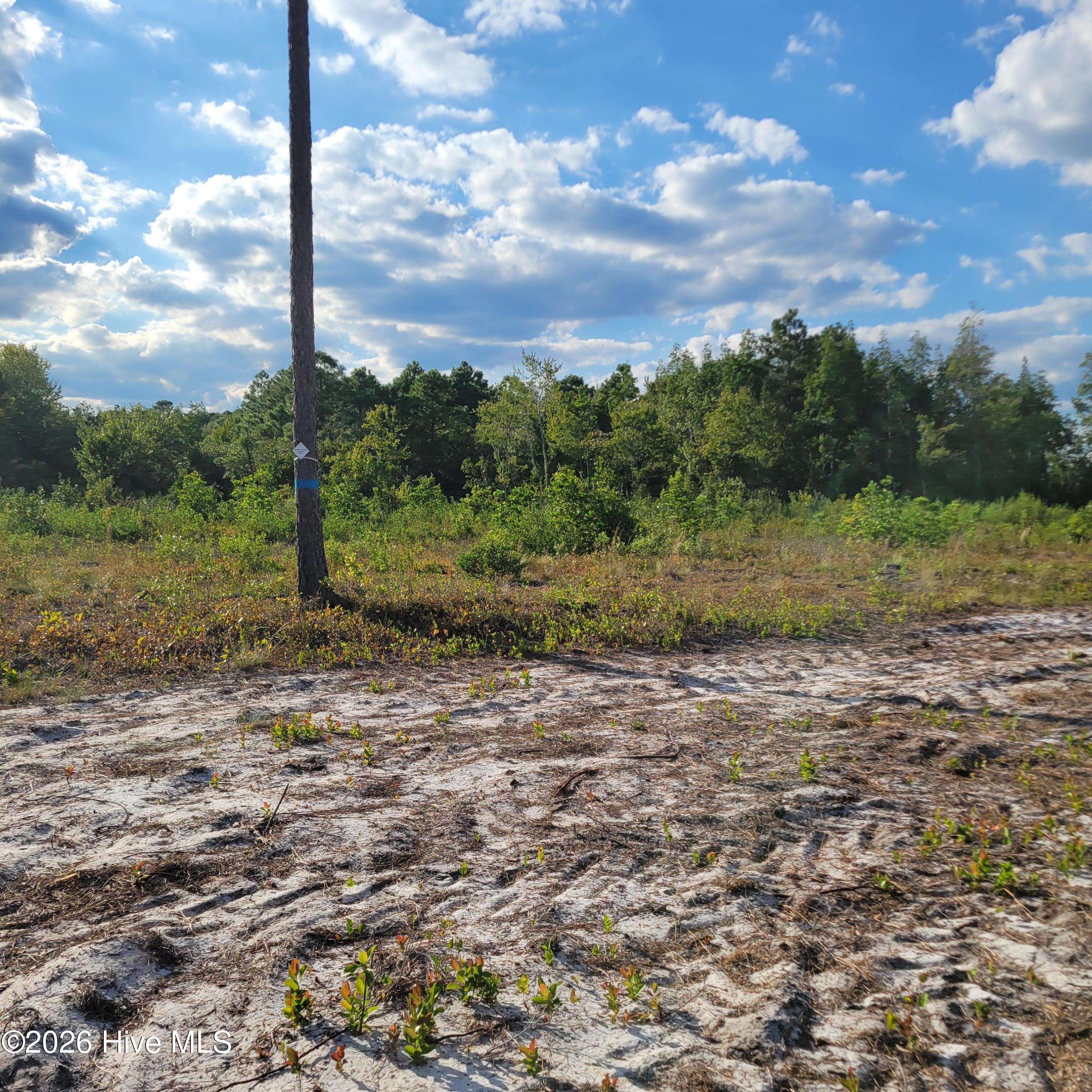 Lot 0 Moores Swamp Road Ivanhoe, NC 28447 - Photo 2 of 5 20260929_170146
