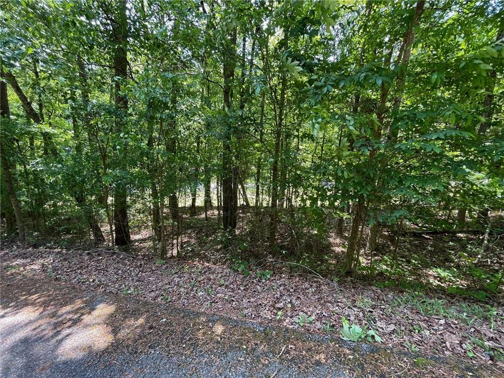 2 Chalcrest Way Cave Spring, GA 30124 - Photo 8 of 52 Gallery Image 8