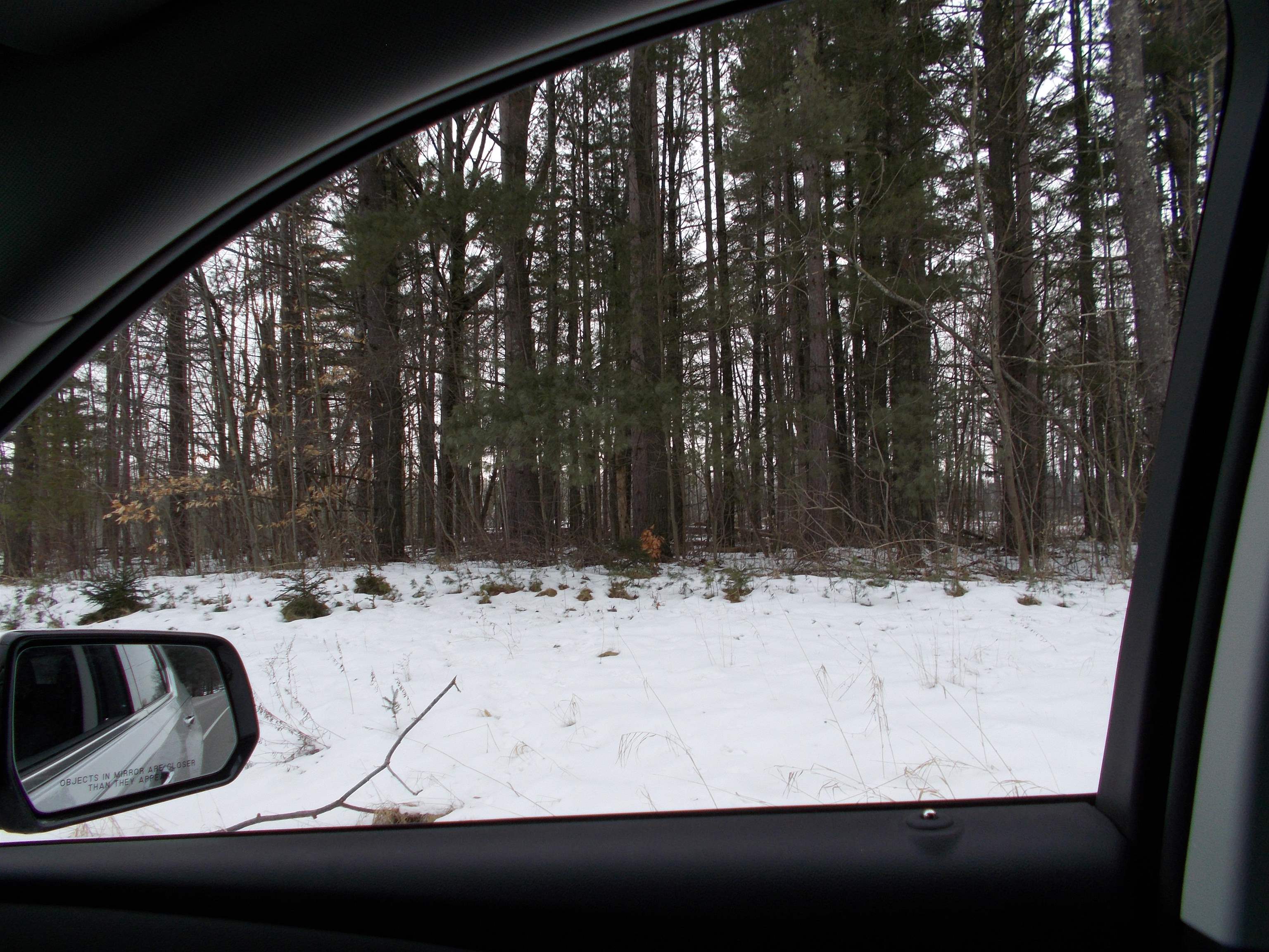 Long Lake Road Hale, MI 48739 - Photo 2 of 5 Gallery Image 2