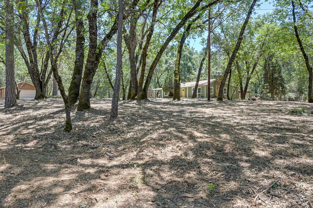1862 Pleasant Valley Road Placerville, CA 95667 - Photo 58 of 74