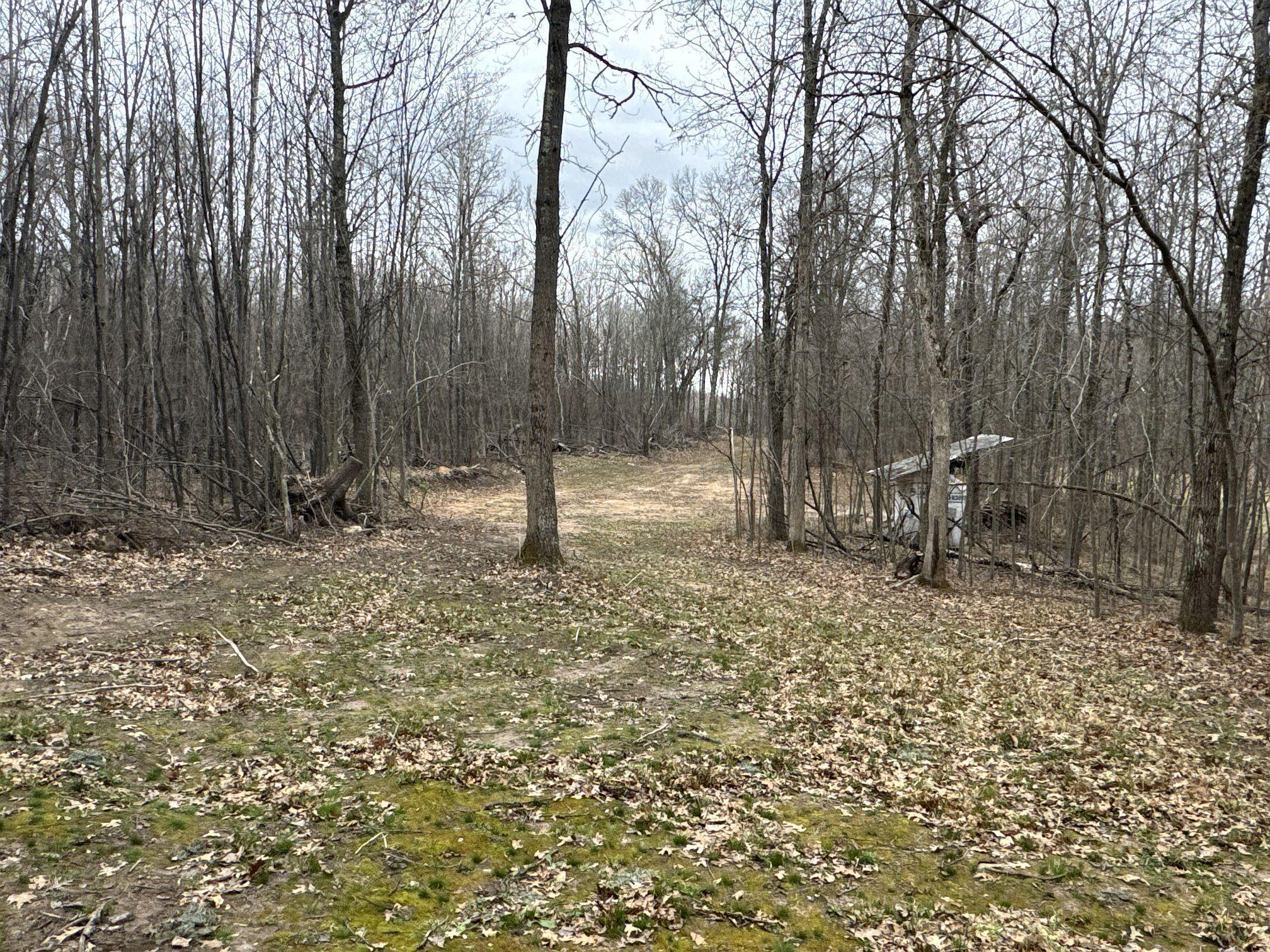 Tbd Barrett Trail Trego, WI 54888 - Photo 11 of 20