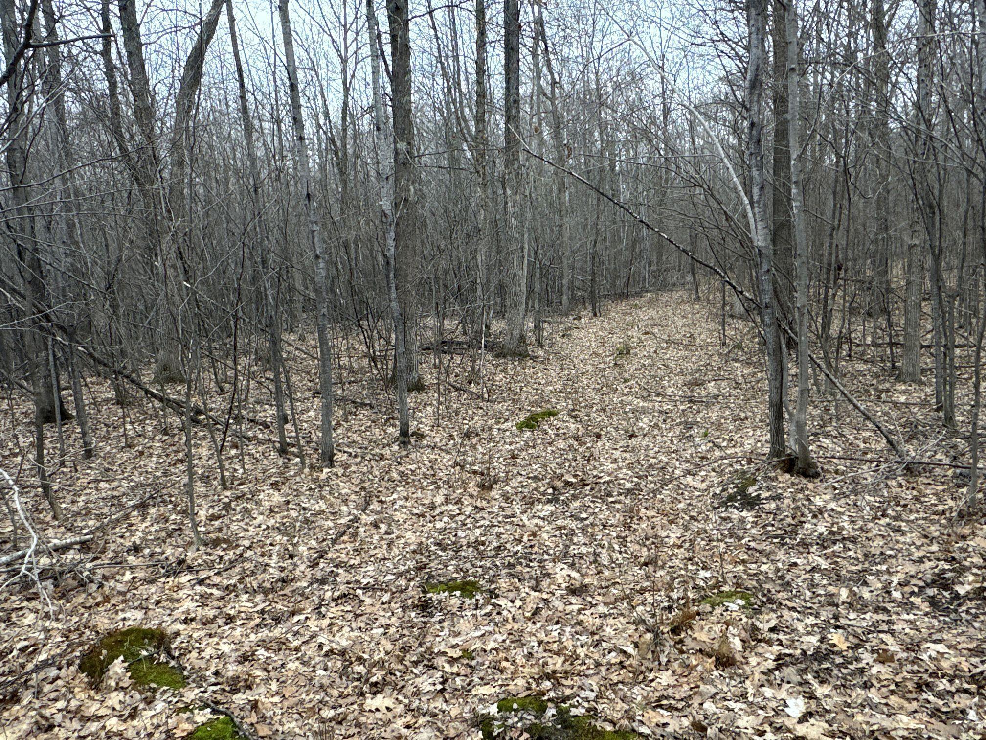 Tbd Barrett Trail Trego, WI 54888 - Photo 13 of 20