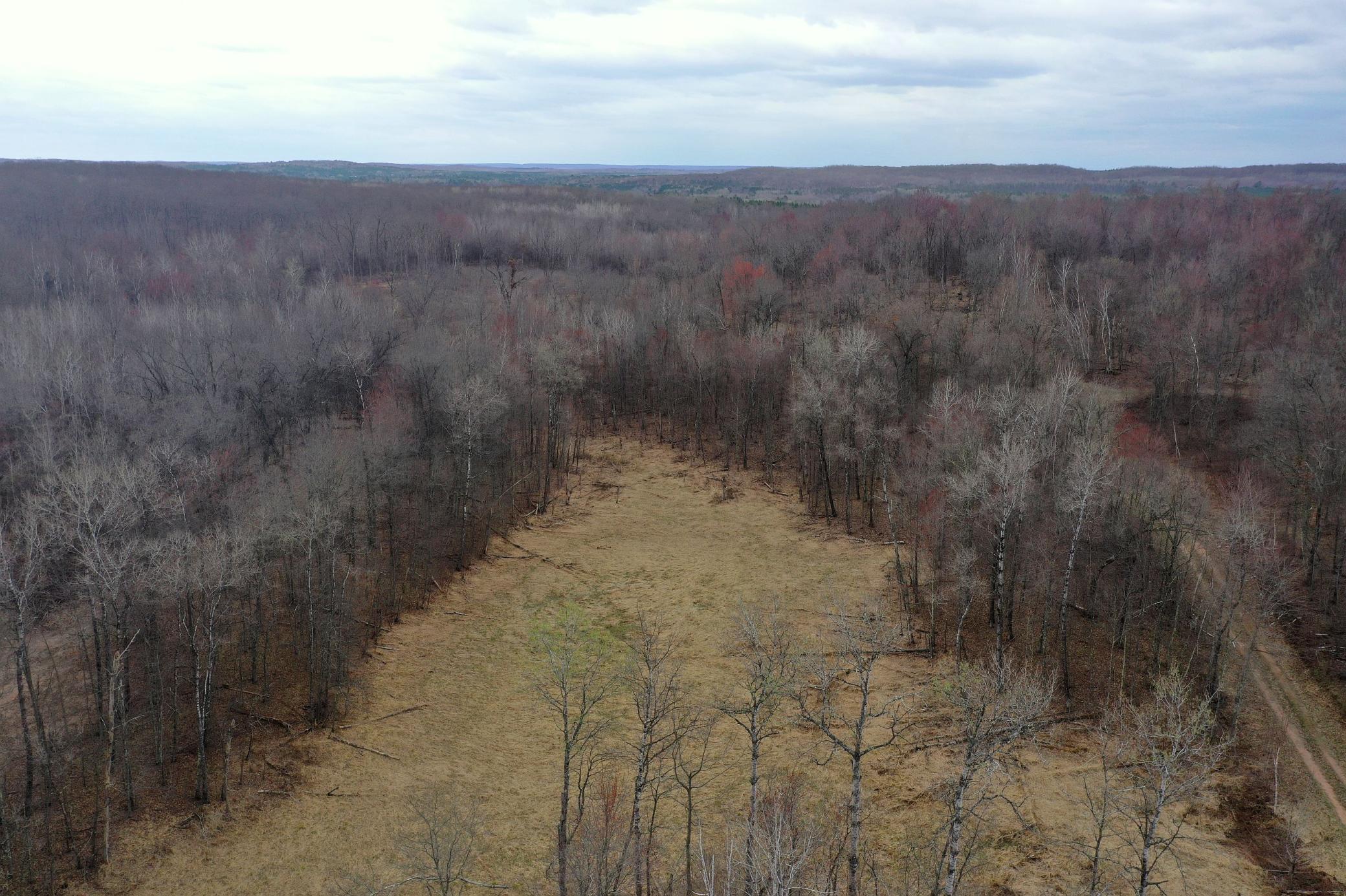 Tbd Barrett Trail Trego, WI 54888 - Photo 16 of 20
