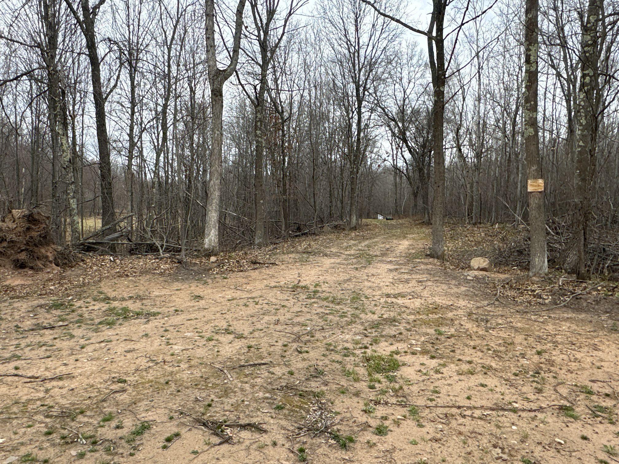 Tbd Barrett Trail Trego, WI 54888 - Photo 18 of 20