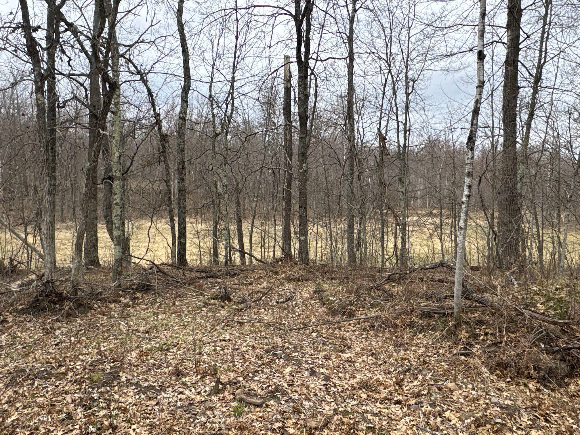 Tbd Barrett Trail Trego, WI 54888 - Photo 19 of 20