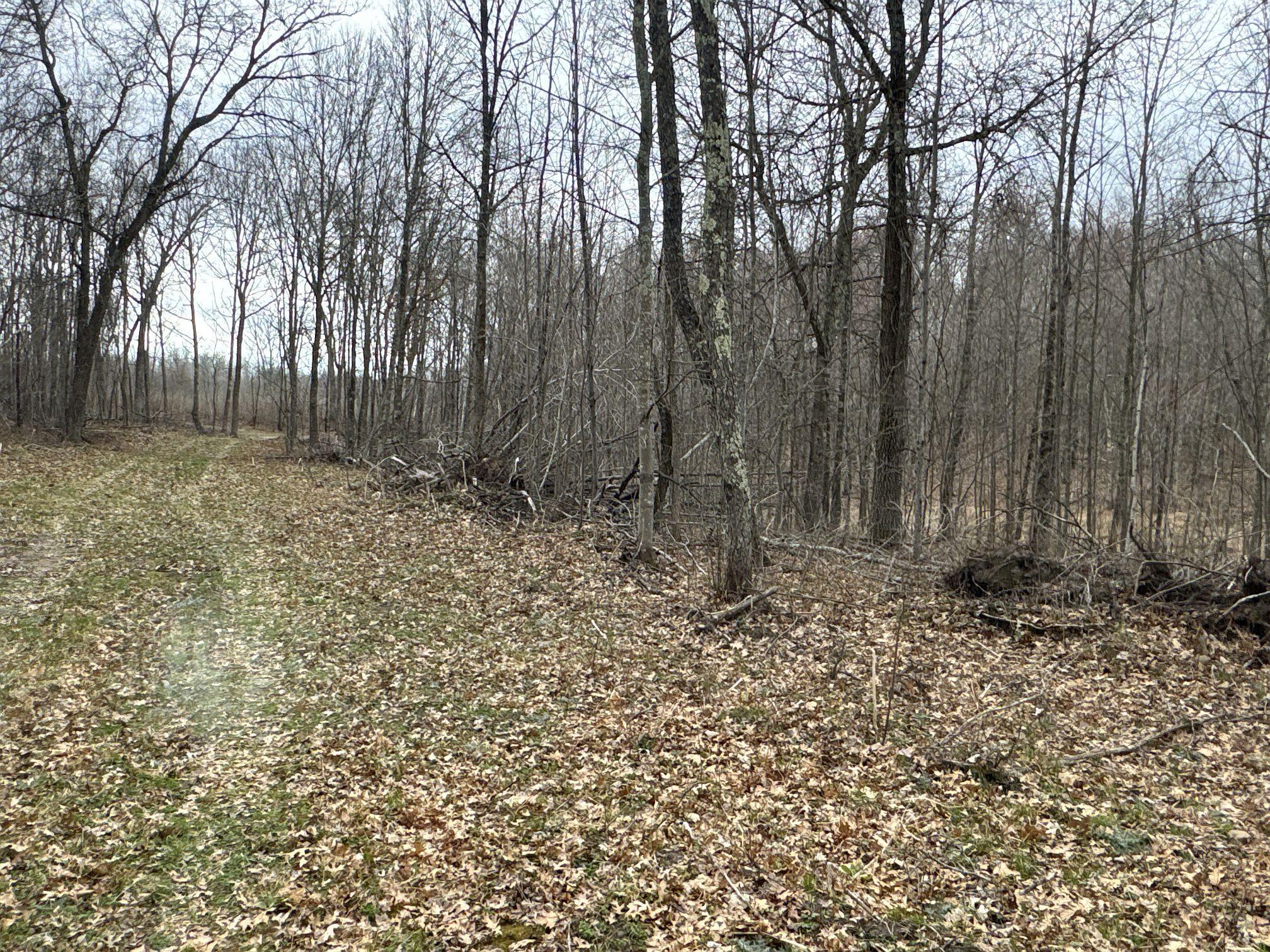 Tbd Barrett Trail Trego, WI 54888 - Photo 20 of 20
