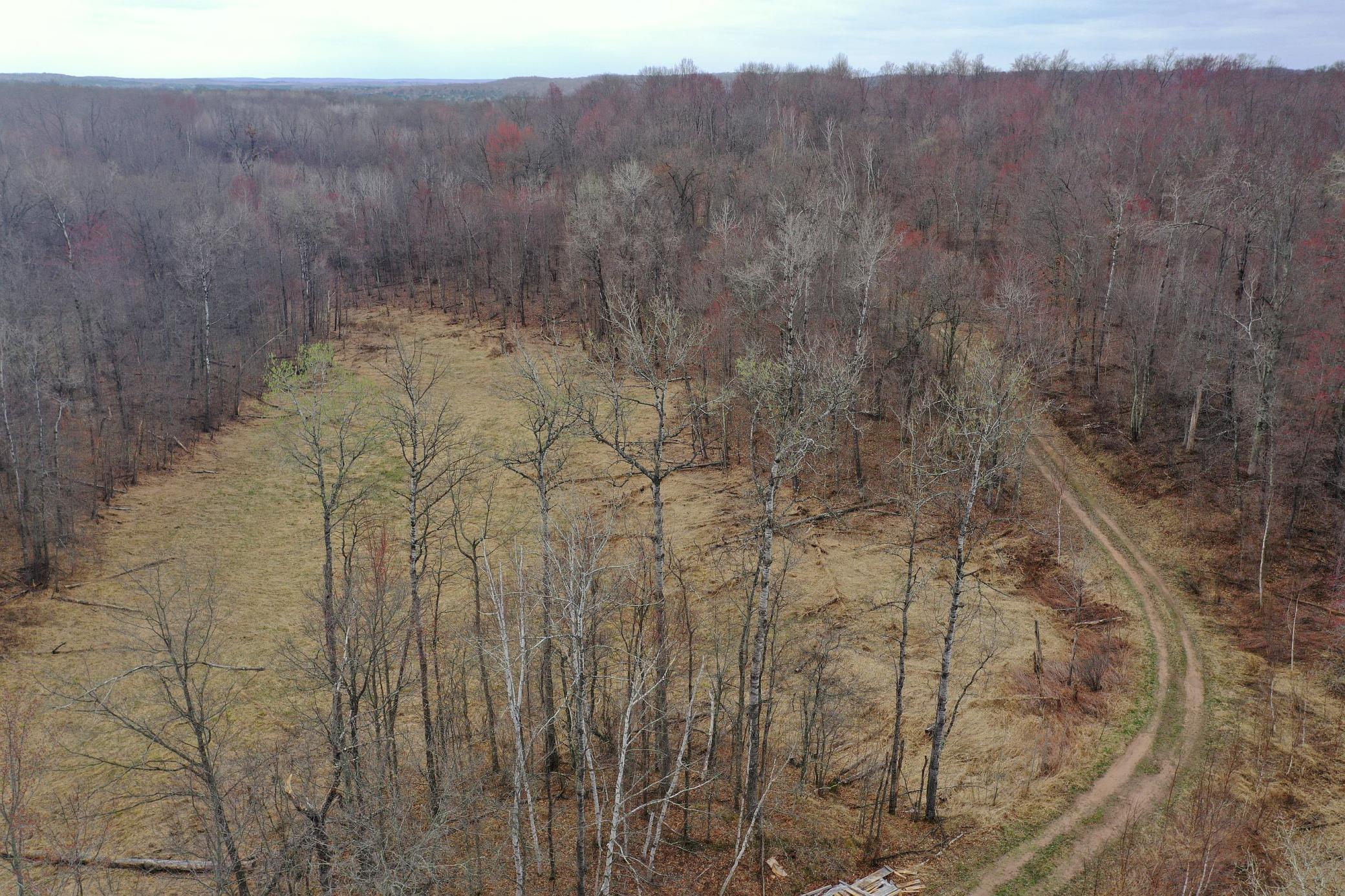 Tbd Barrett Trail Trego, WI 54888 - Photo 3 of 20