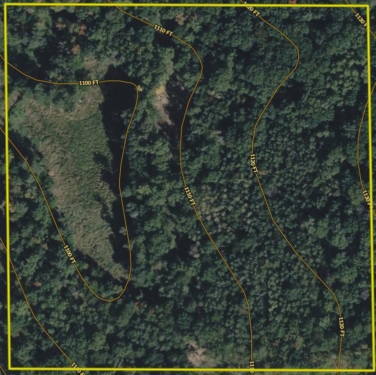 Tbd Barrett Trail Trego, WI 54888 - Photo 5 of 20