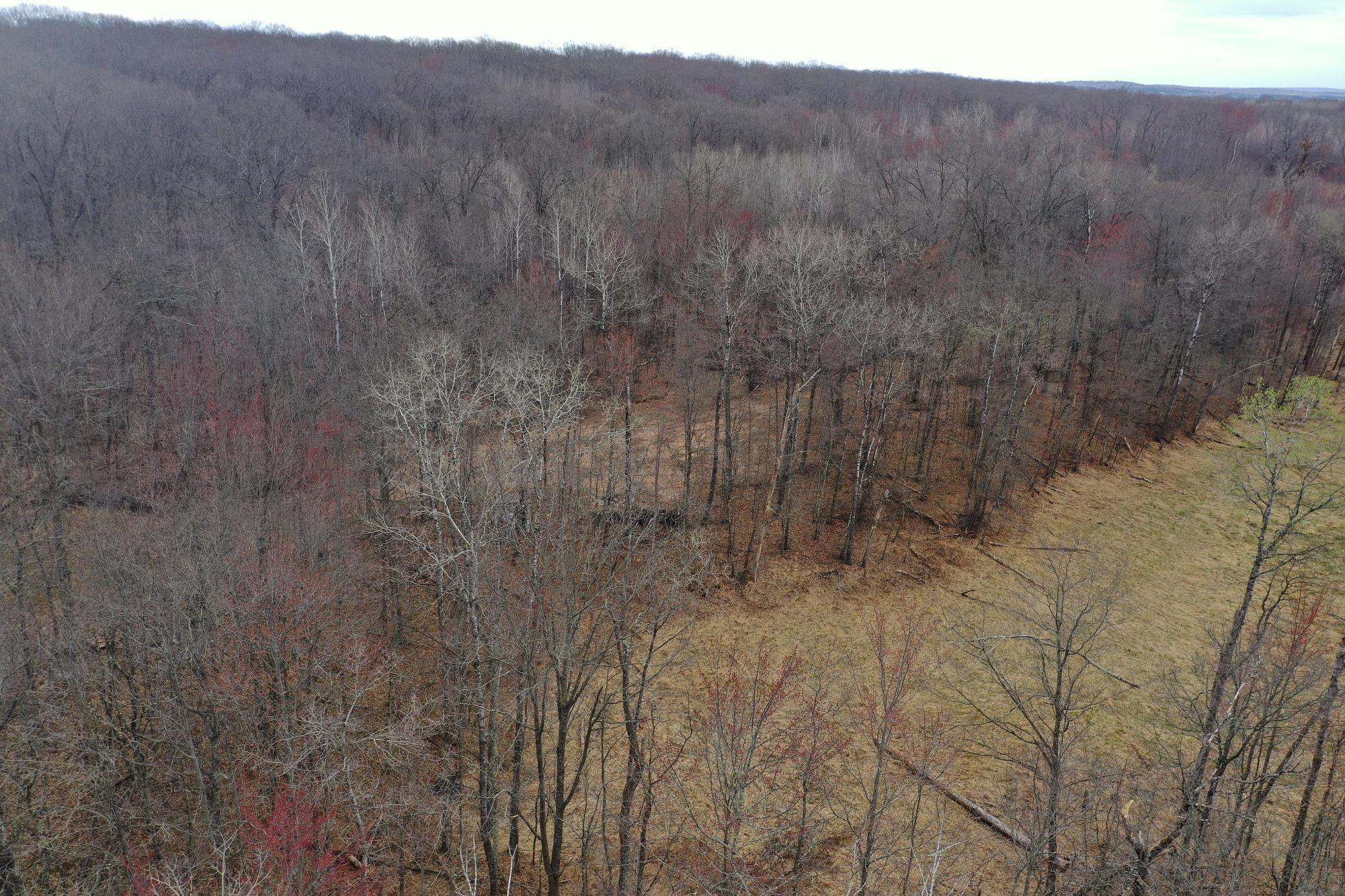 Tbd Barrett Trail Trego, WI 54888 - Photo 6 of 20