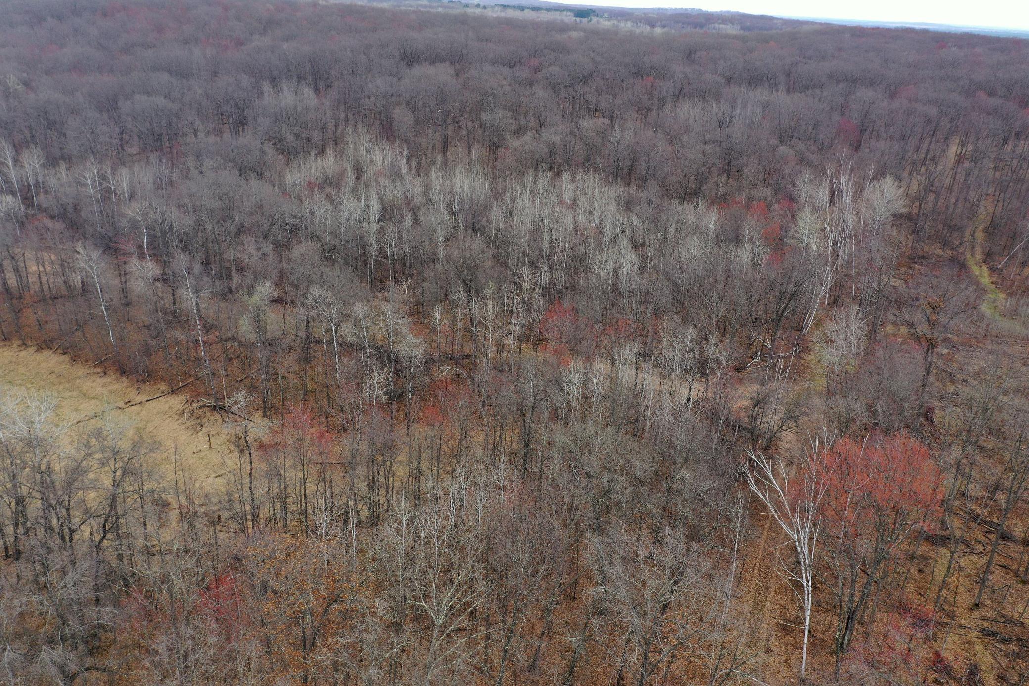 Tbd Barrett Trail Trego, WI 54888 - Photo 7 of 20