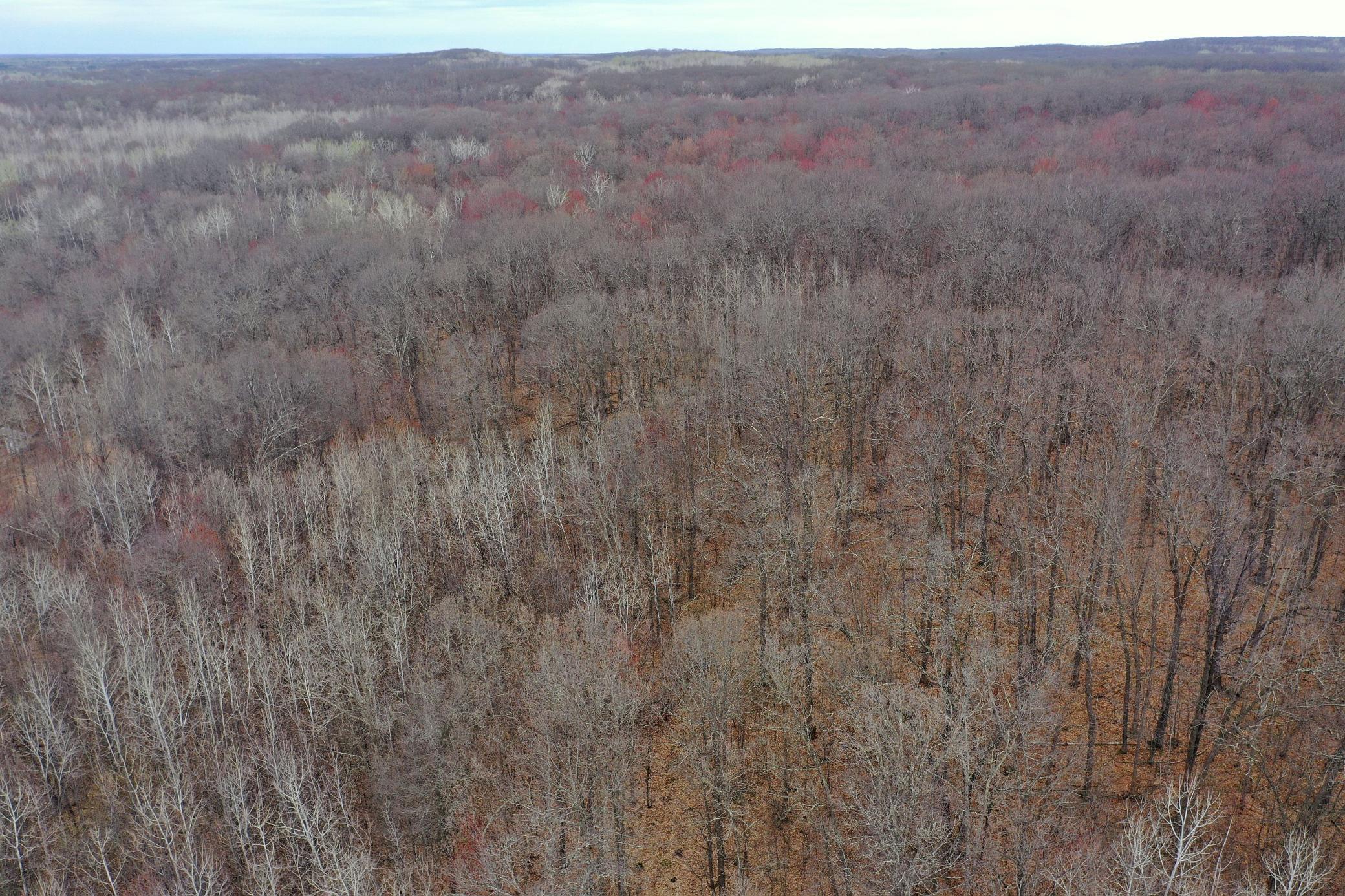 Tbd Barrett Trail Trego, WI 54888 - Photo 9 of 20