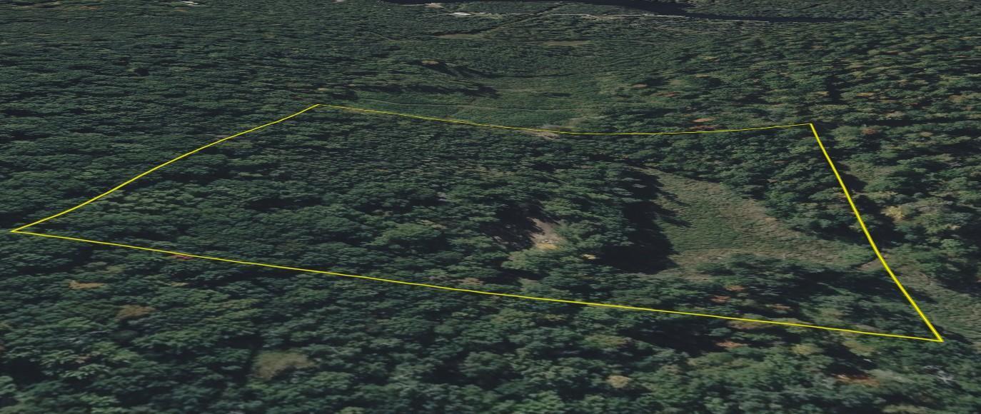 Tbd Barrett Trail Trego, WI 54888 - Photo 10 of 20