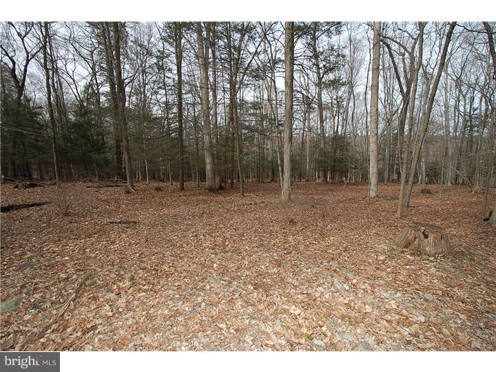 40-42 Strimples Mill Road Stockton, NJ 08559 - Photo 22 of 24 Gallery Image 22