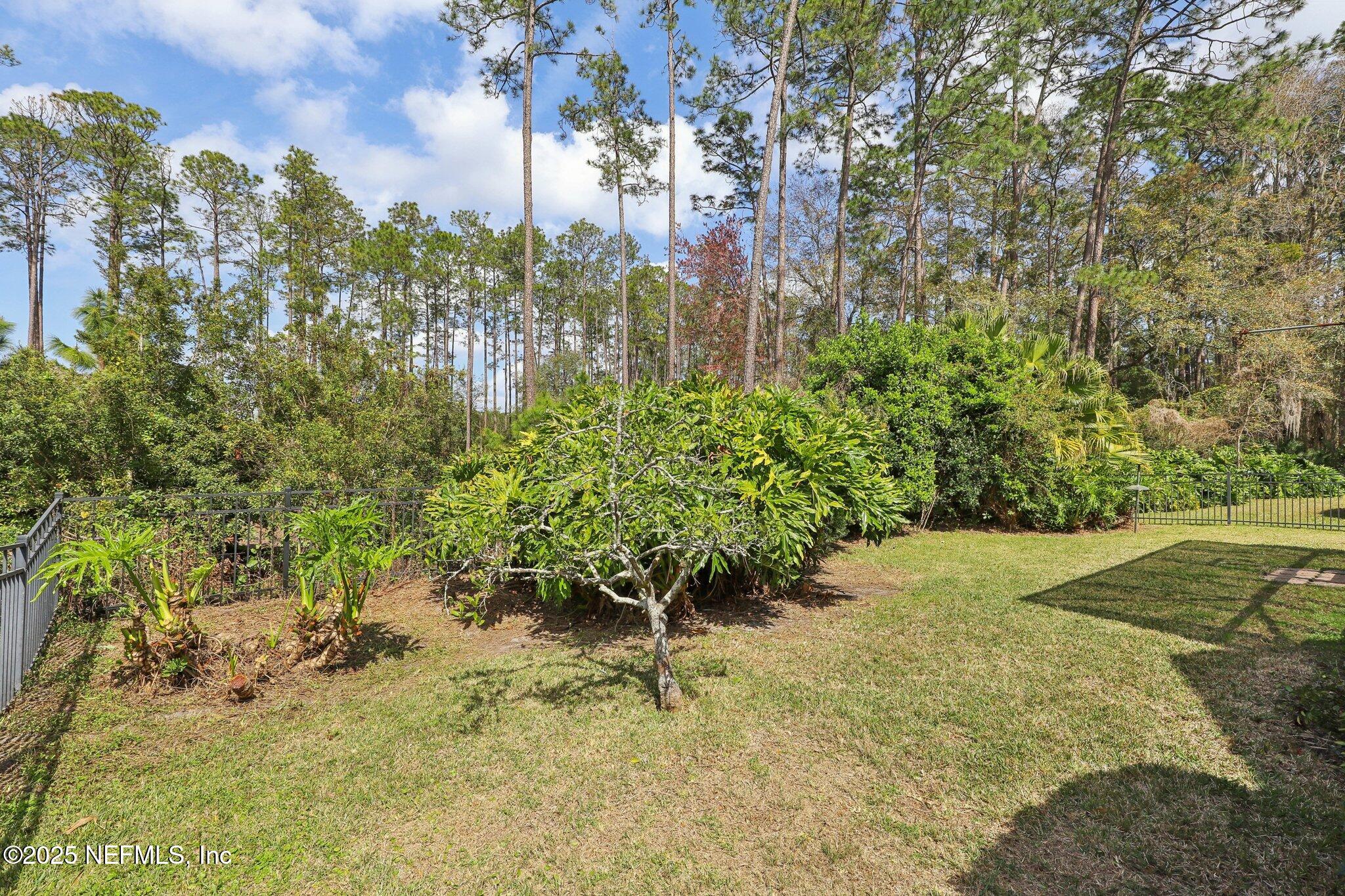 1856 Inlet Cove Court Fleming Island, FL 32003 - Photo 42 of 65 Back Yard