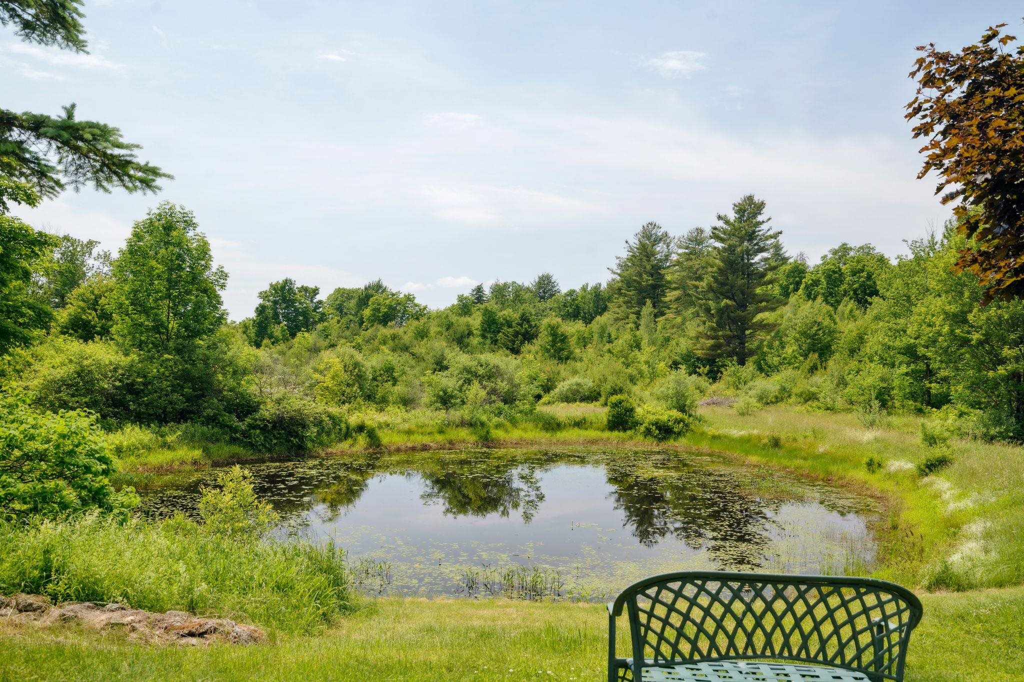 164 Hogg Hill Road Springfield, NH 03284 - Photo 28 of 39