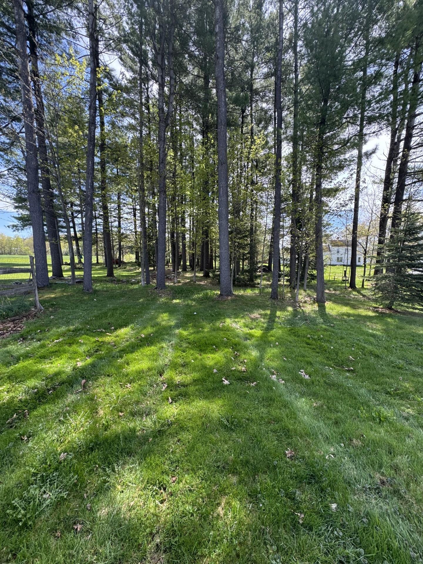 58 Hamilton Pl Extension Richford, VT 05476 - Photo 6 of 22