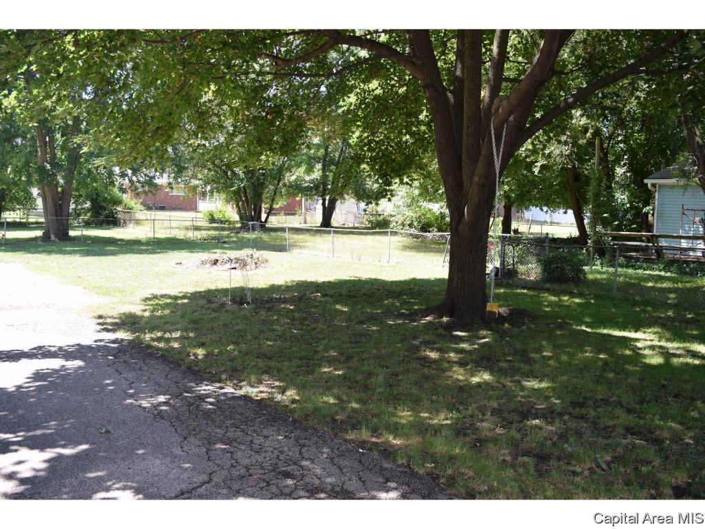 2608 East Keys Avenue Springfield, IL 62702 - Photo 18 of 19