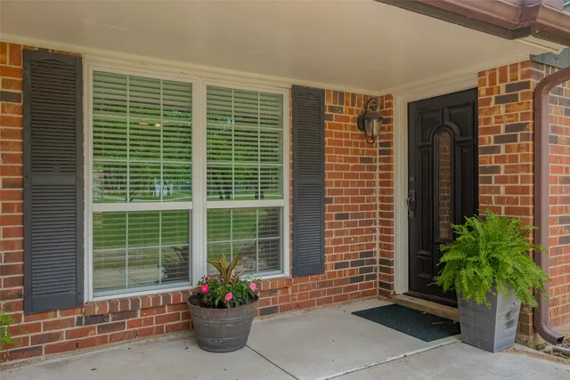 a potted plant sitting in front of a house