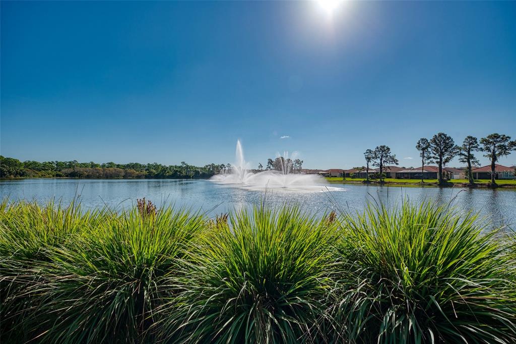 11666 Parrotfish Street Venice, FL 34292 - Photo 59 of 76