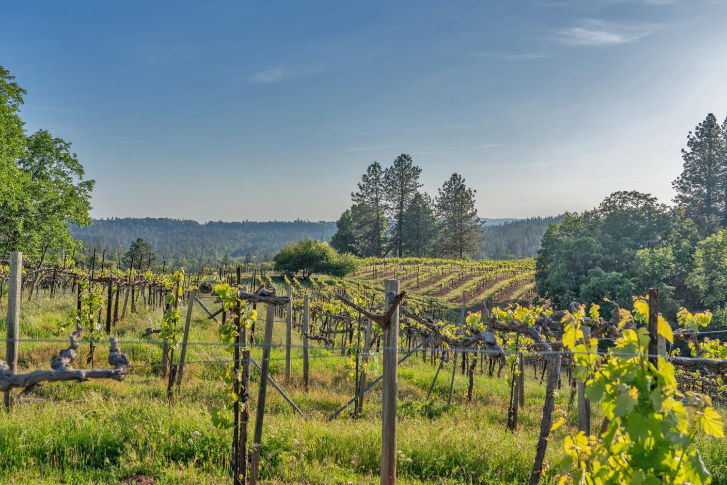 2399 Kingsgate Road Placerville, CA 95667 - Photo 76 of 89