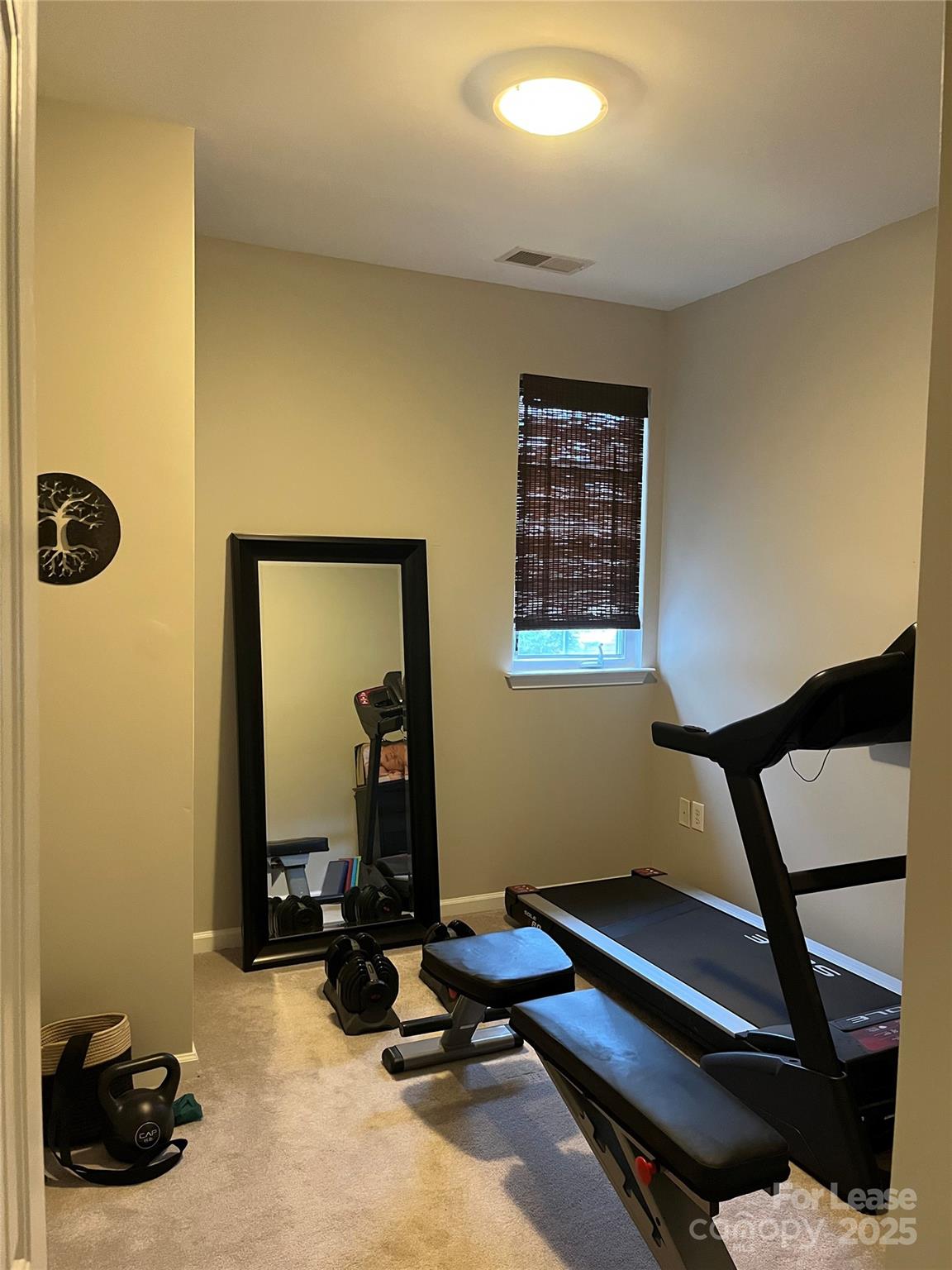 1131 Central Park Circle Davidson, NC 28036 - Photo 21 of 21 a view of a room with gym equipment