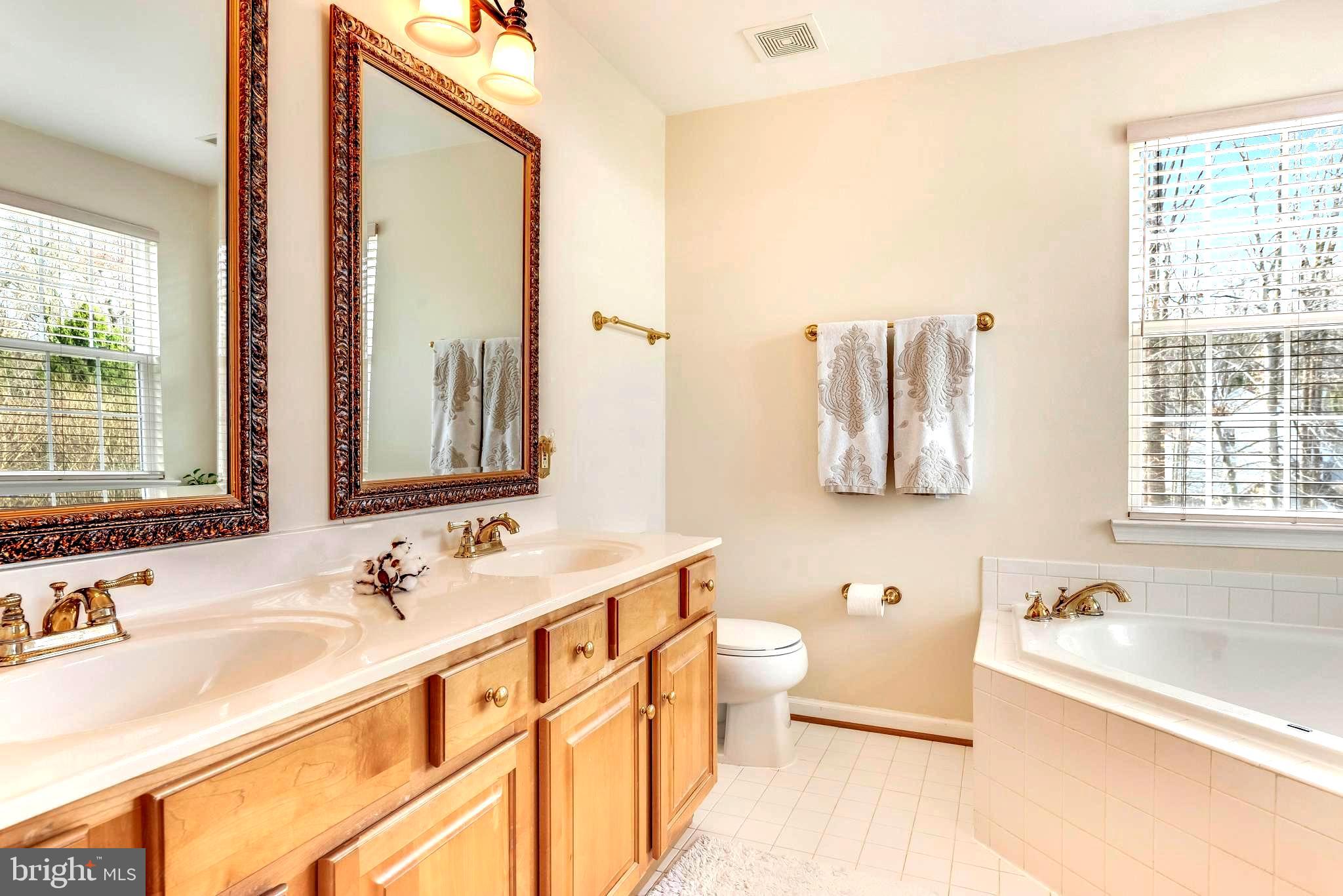 1566 Comanche Road Arnold, MD 21012 - Photo 31 of 51 En Suite Dual Vanity Luxury Bath