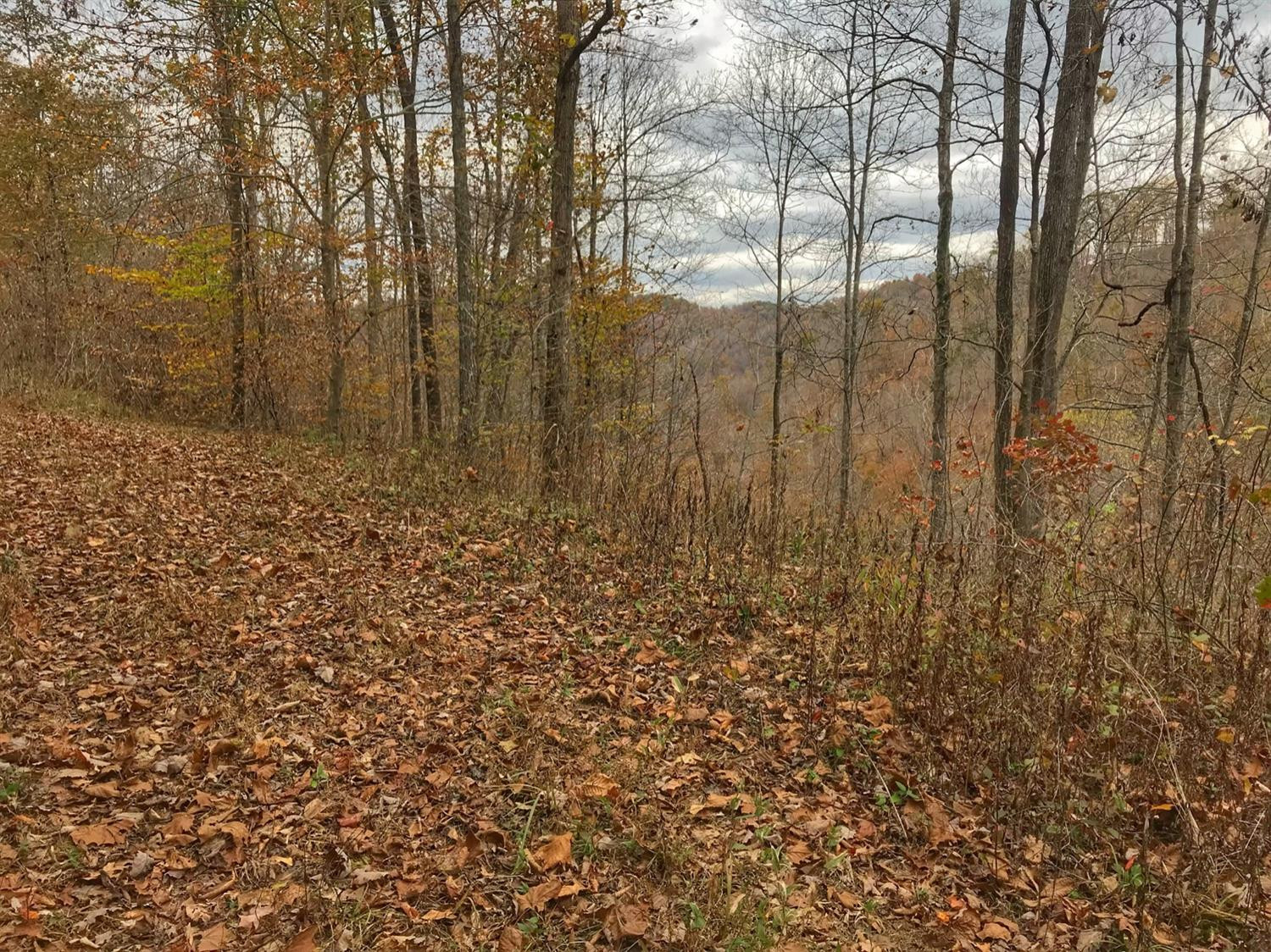 889 South Fork Road Stanton, KY 40380 - Photo 7 of 19 Photo 7