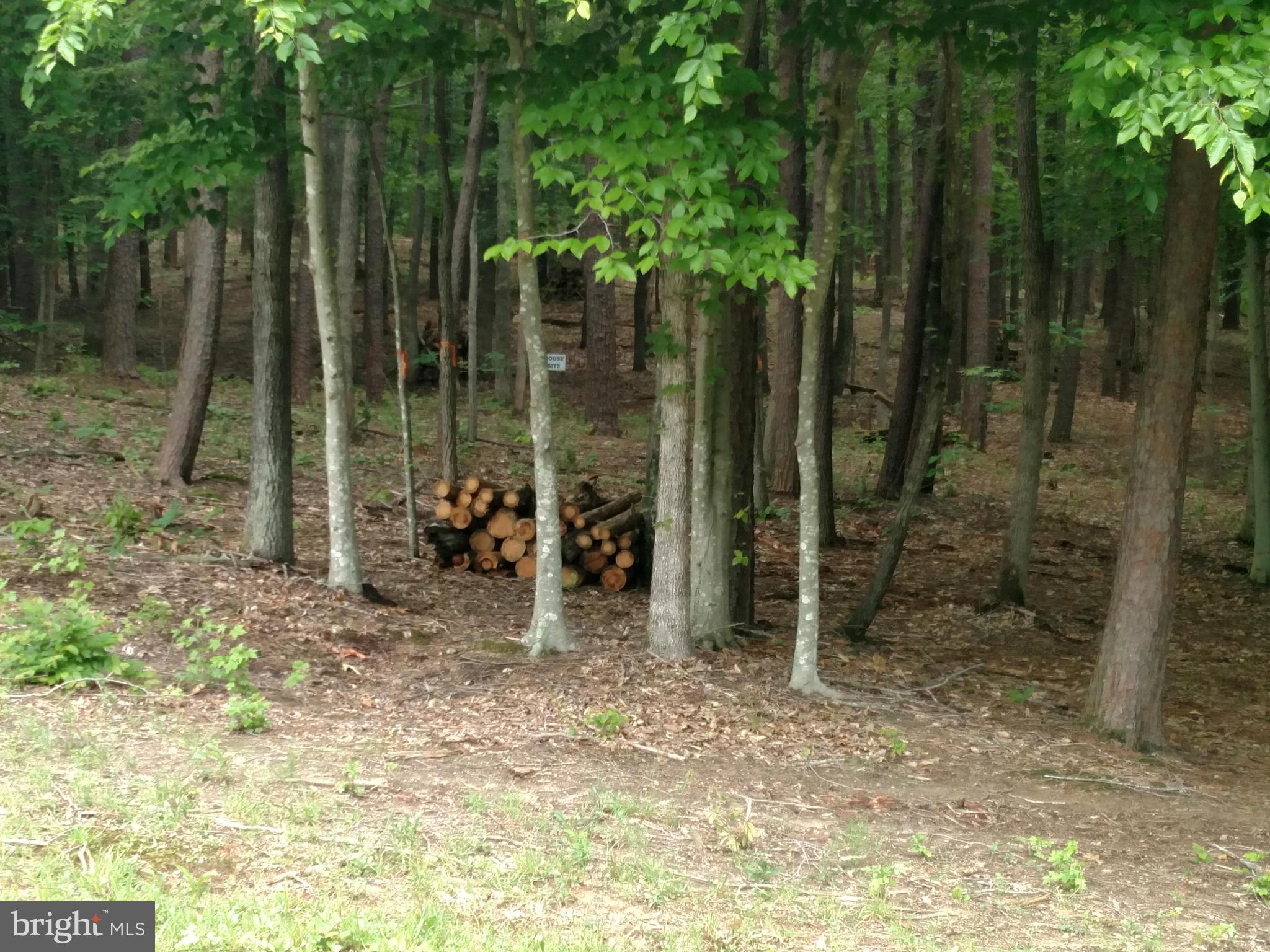 40 Elnor Road Bumpass, VA 23024 - Photo 1 of 2 View