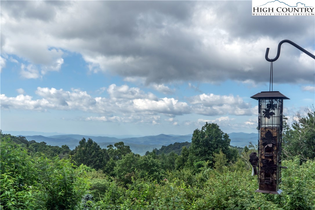 320 Misty Ridge Lane Blowing Rock, NC 28605 - Photo 14 of 46 a close up of a tree in a field