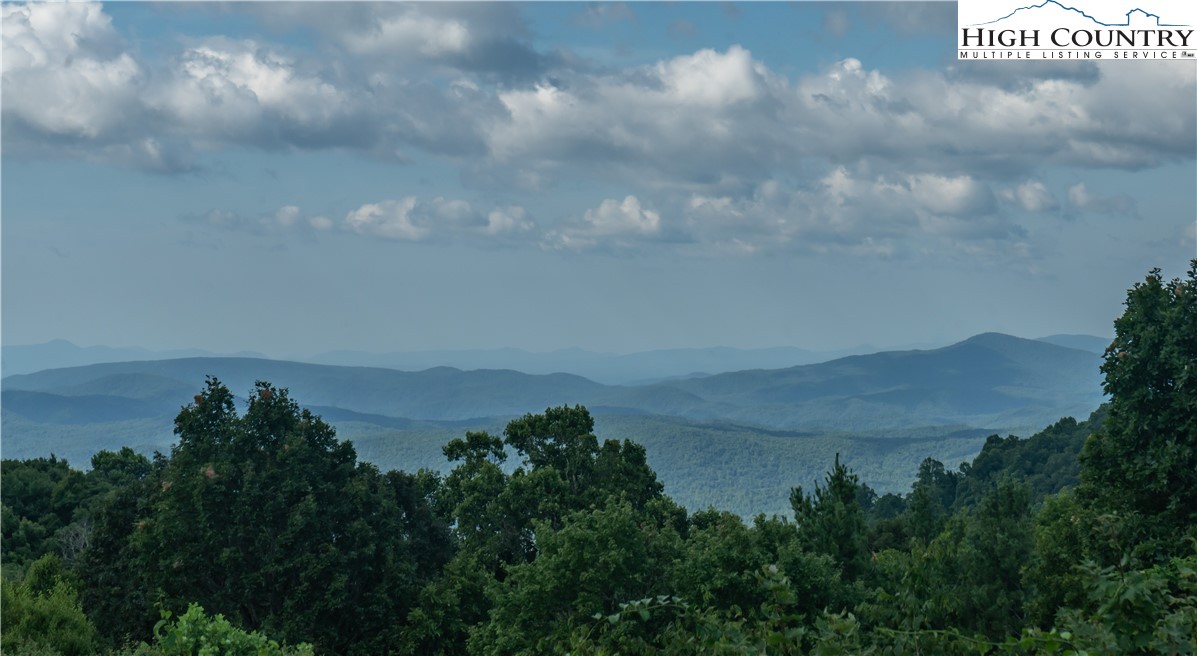 320 Misty Ridge Lane Blowing Rock, NC 28605 - Photo 43 of 46 a view of a bunch of trees in a field