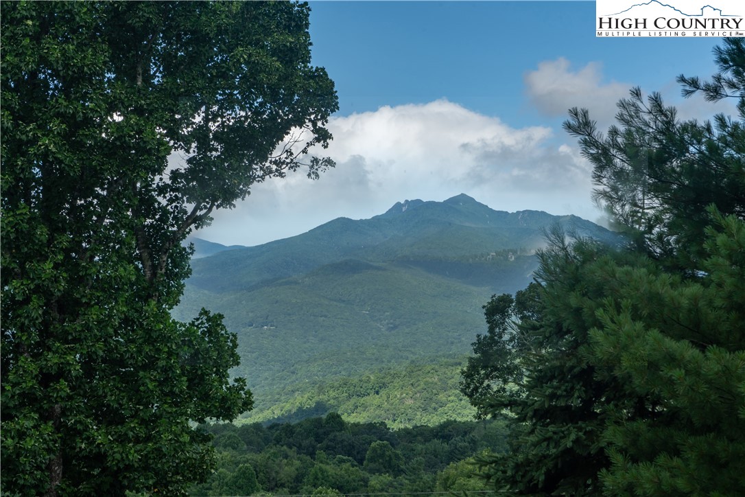 320 Misty Ridge Lane Blowing Rock, NC 28605 - Photo 6 of 46 a view of a lake in middle of the forest