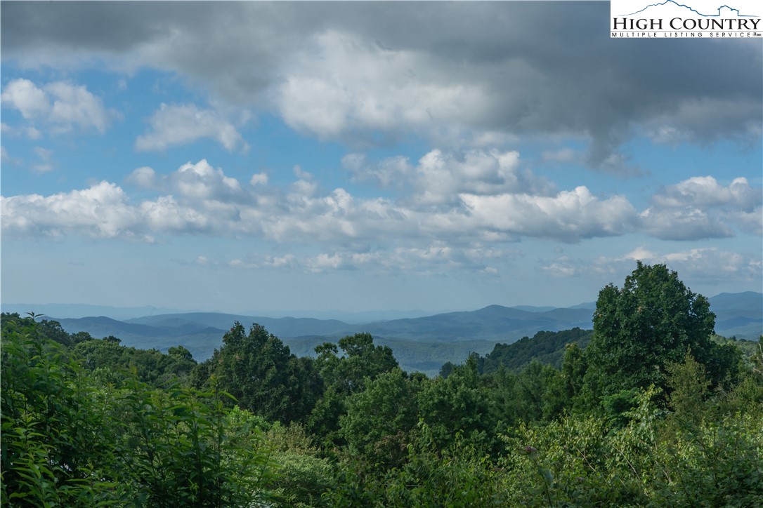 320 Misty Ridge Lane Blowing Rock, NC 28605 - Photo 7 of 46 a city view with lot of green space