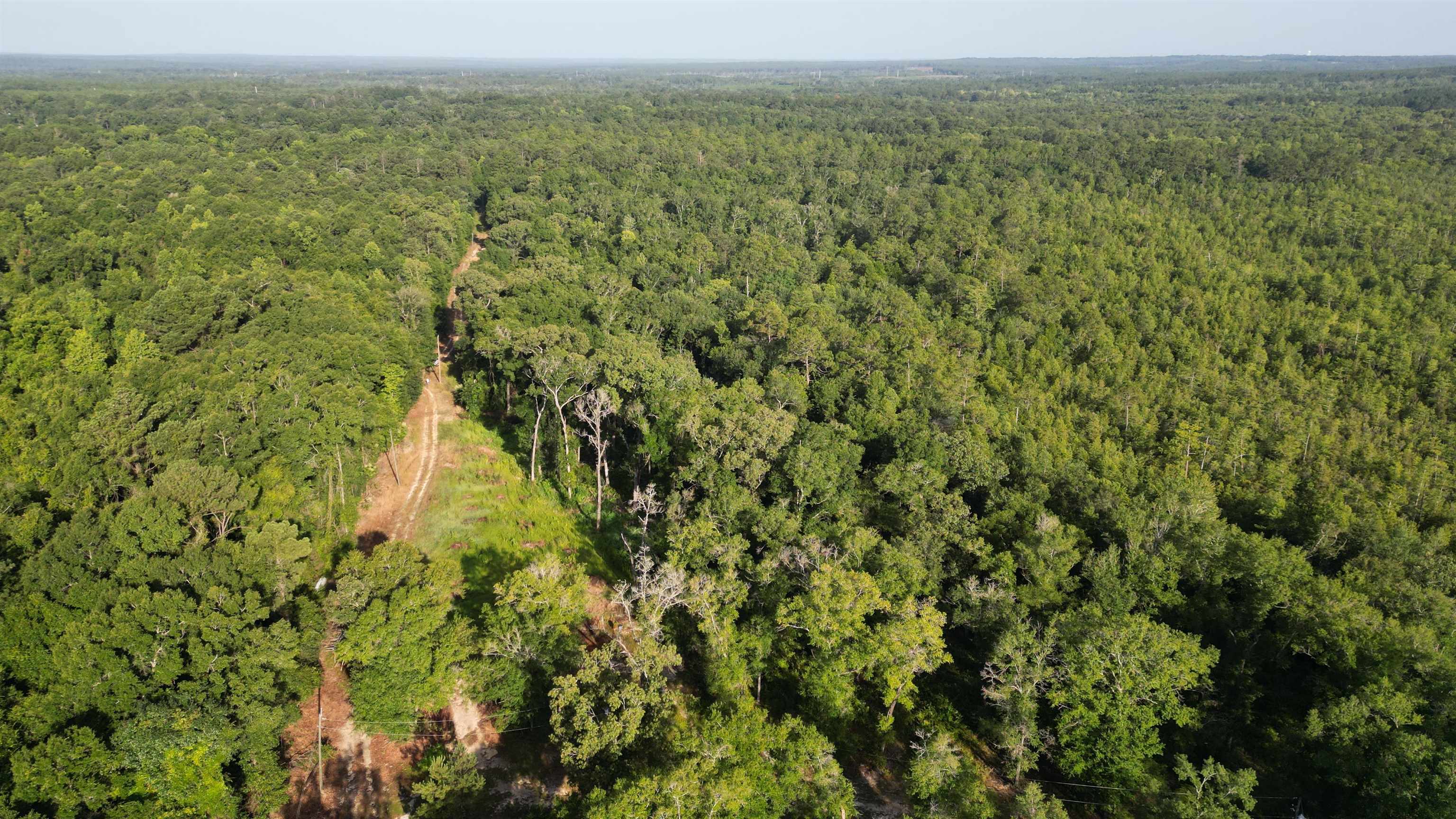 1050 Cedar Creek Landing Road Mount Vernon, AL 36560 - Photo 54 of 59 Aerial View