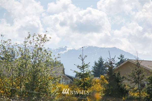 -xxx Miller Road Sequim, WA 98382 - Photo 13 of 19 Gallery Image 13