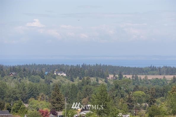 -xxx Miller Road Sequim, WA 98382 - Photo 5 of 19 Gallery Image 5