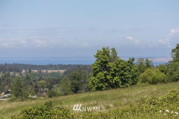 -xxx Miller Road Sequim, WA 98382 - Photo 6 of 19 Gallery Image 6