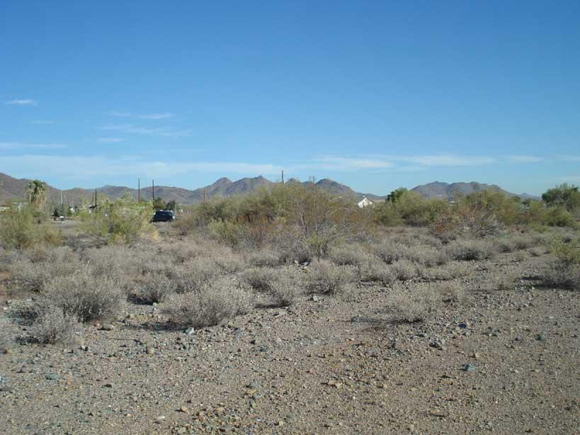 91 West Irvine Road, Unit 15 Phoenix, AZ 85086 - Photo 5 of 5 View to the East