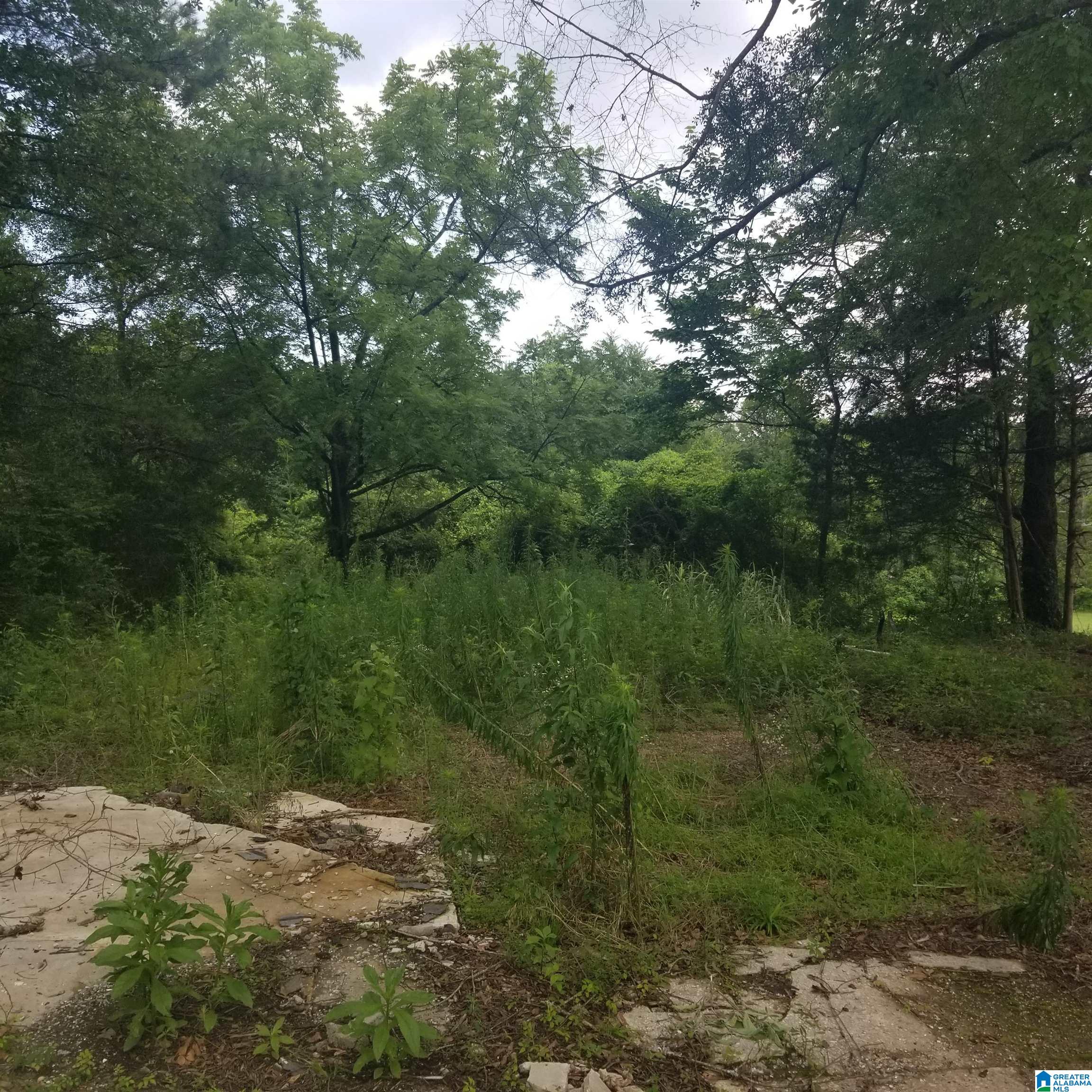 11284 Us Highway Riverside, AL 35135 - Photo 3 of 20